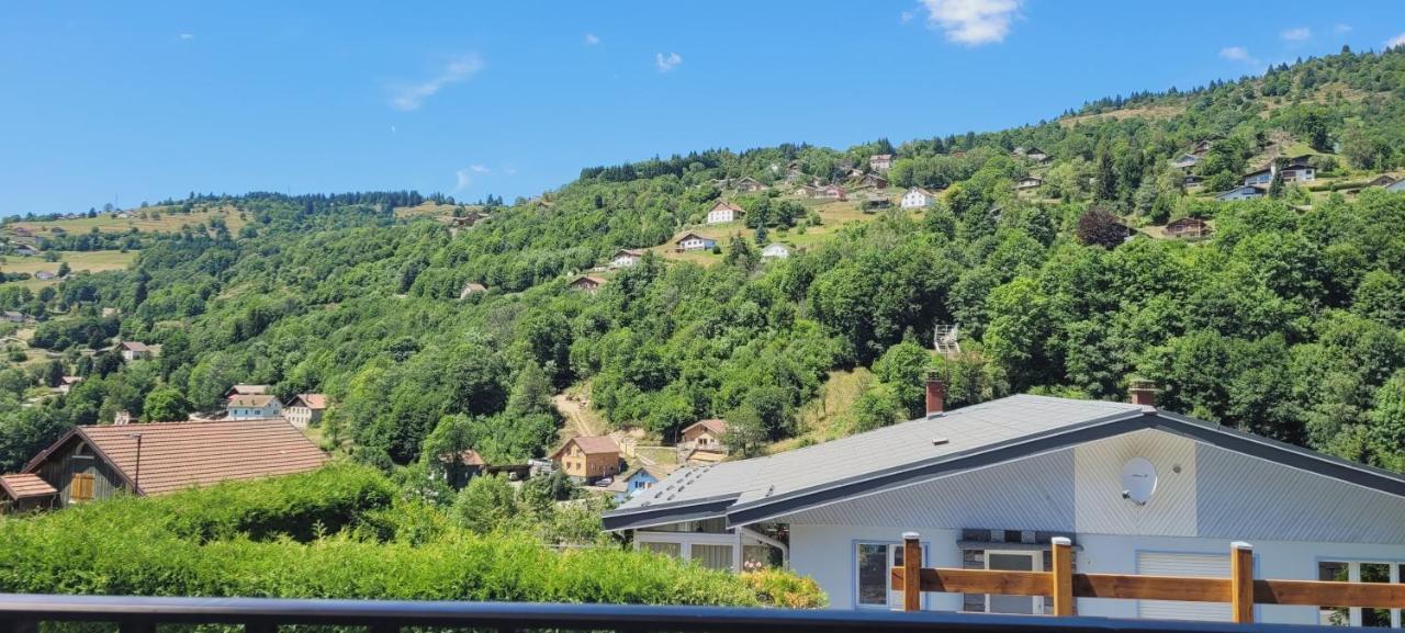 Maison Chaleureuse La Meybel La Bresse Exterior foto